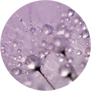 DermalRx®SRC煥膚寡肽 DermalRx®SRC煥膚寡肽